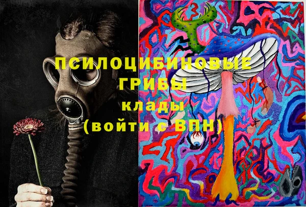 apvp Богданович