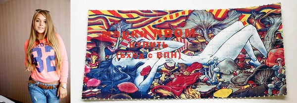 apvp Богданович