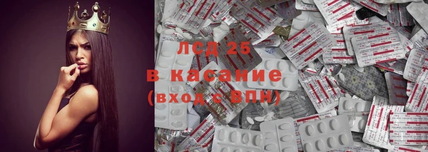 шишки Бронницы