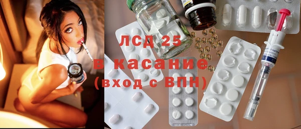 прущие грибы Кущёвская